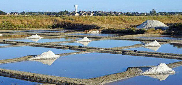 marais salants de guérande