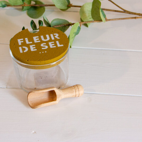 Pot Fleur de Sel et Pelle Bronze Sophie Janiere