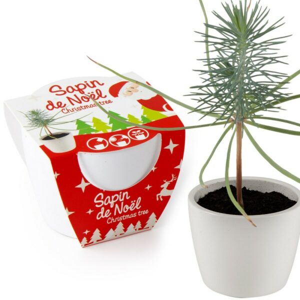 pot ceramique blanc 8 cm sapin de noel3