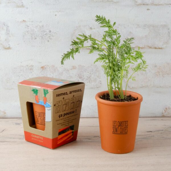 pot message les carottes sont cuites graines de carottes