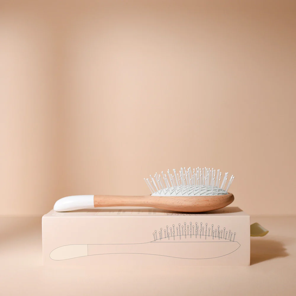 Brosse Démêlage et Volume Grand Format Bachca c