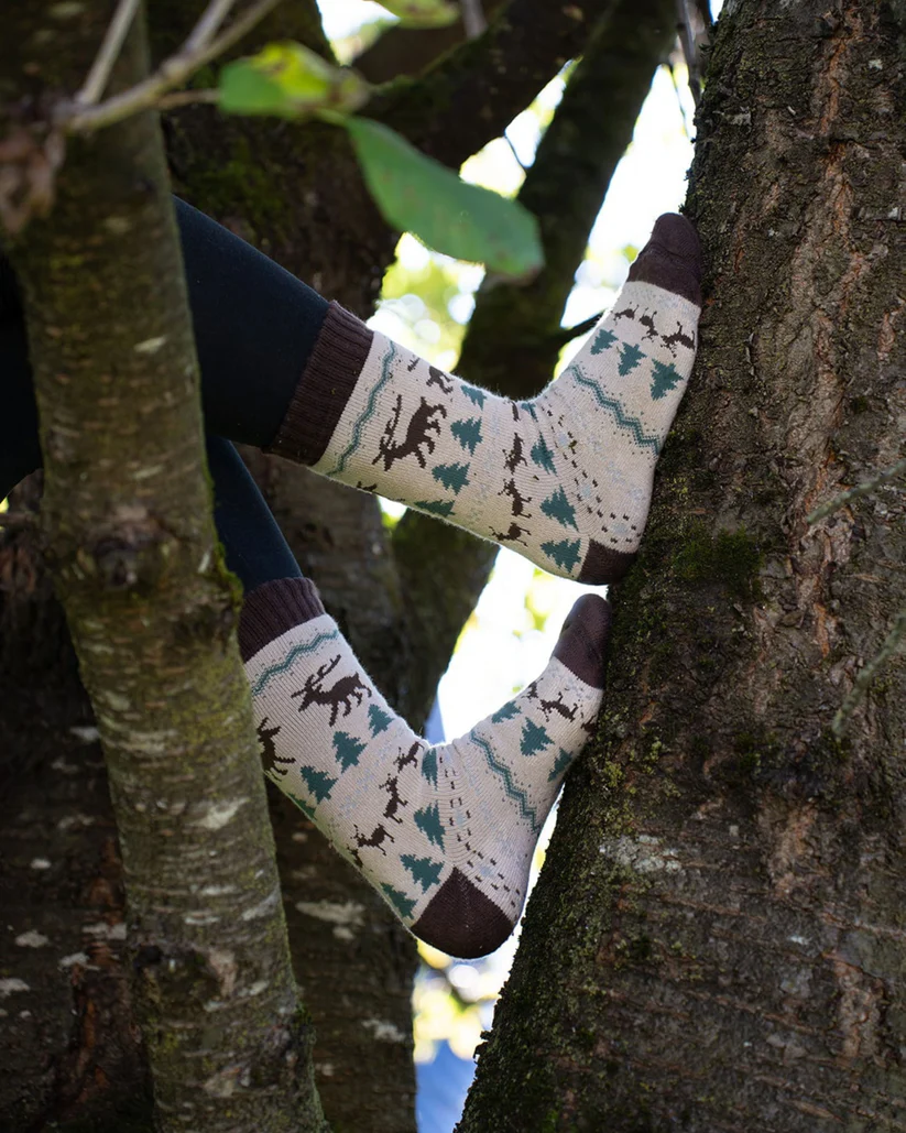 Chaussettes Villrein Polar Star b