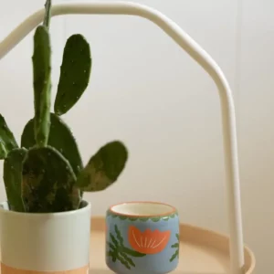 Bougie en céramique Flower Fleur de Cactus Paddywax