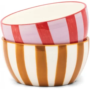 Lot de 2 bols rayés Here's How