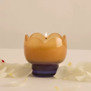 Bougie Tulip Bleu et Ocre glycine et saule Paddywax