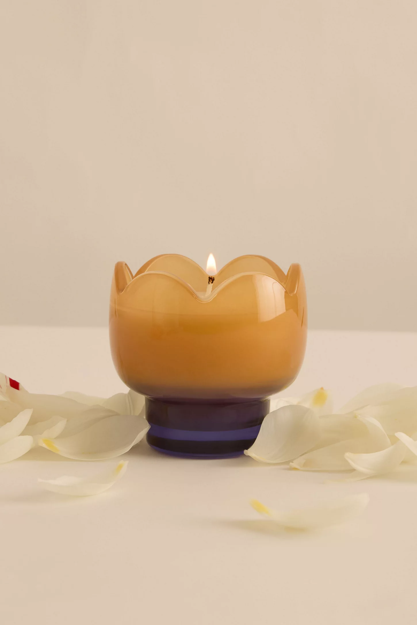 Bougie Tulip Bleu et Ocre glycine et saule Paddywax