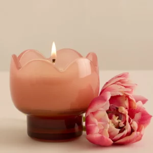 Bougie Tulip Rose et Brûlé Fleur de cactus Paddywax